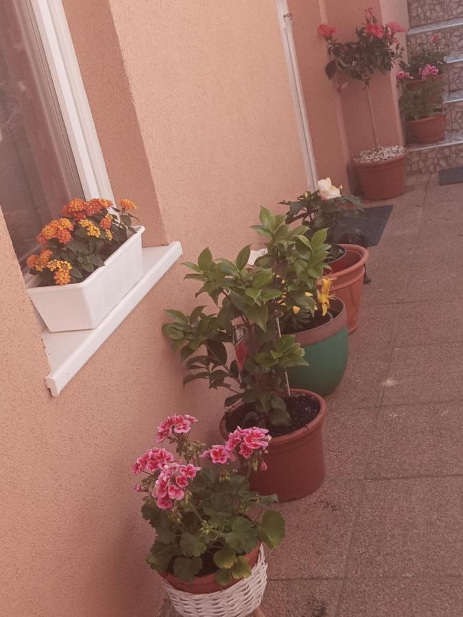 Erna Apartman Zalakaros Εξωτερικό φωτογραφία